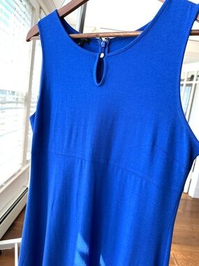 Talbotd Cobalt Blue Sleeveless Dress, Empire Waisted, Stretch, Petite